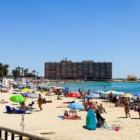 Beautiful Near The Sea